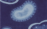 Pattern in Blue